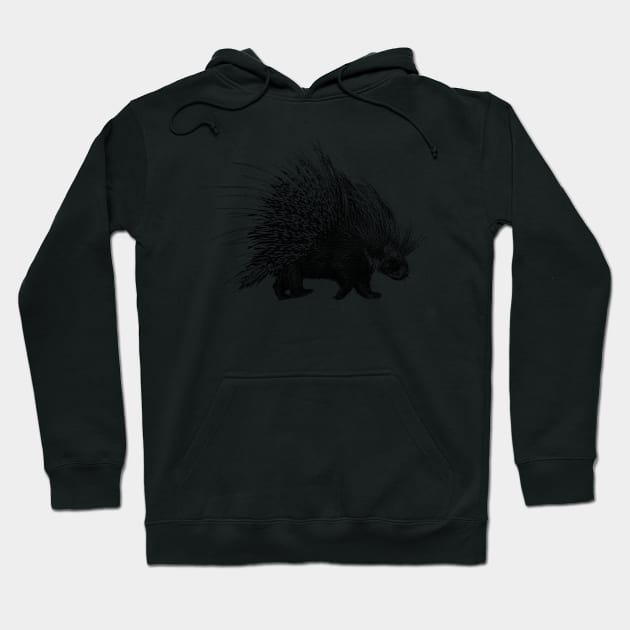 Porcupine with Extended Quills Hoodie by scotch